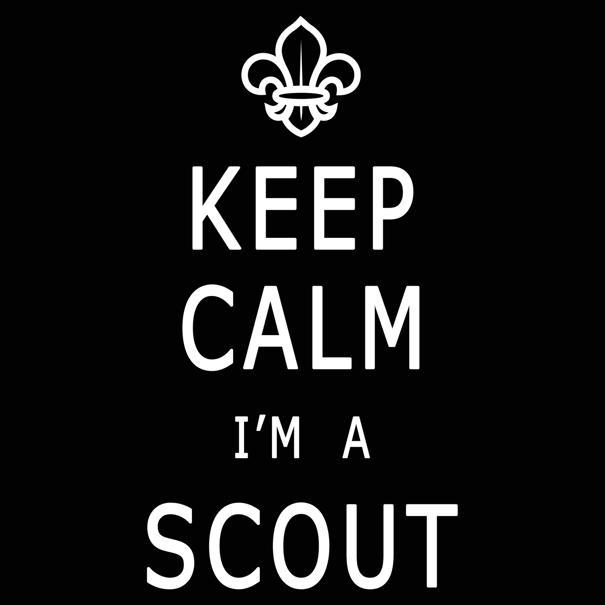 Keep Calm I'm A Scout