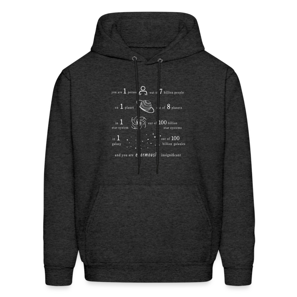 Insignificant - Unisex Hoodie - charcoal grey