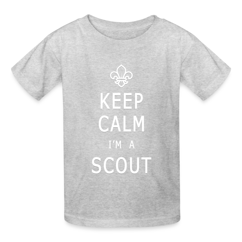 Scout - Hanes Youth Tagless T-Shirt - heather gray