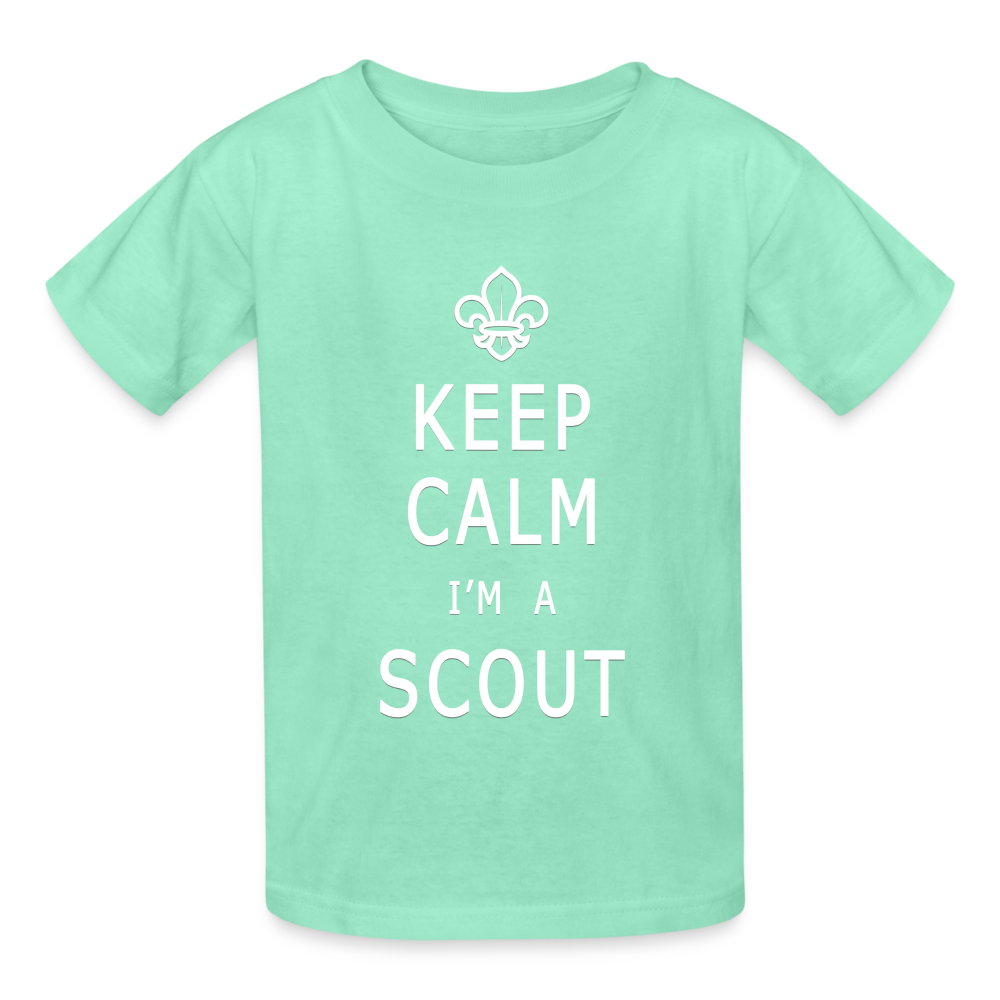 Scout - Hanes Youth Tagless T-Shirt - deep mint
