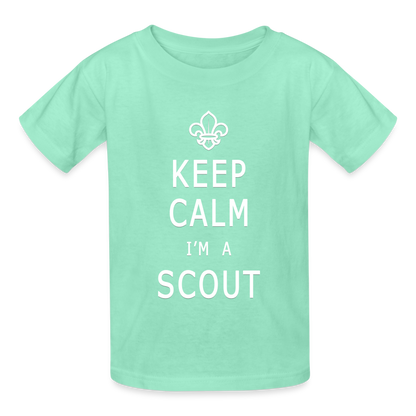 Scout - Hanes Youth Tagless T-Shirt - deep mint