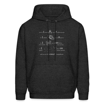 Insignificant - Unisex Hoodie - charcoal grey